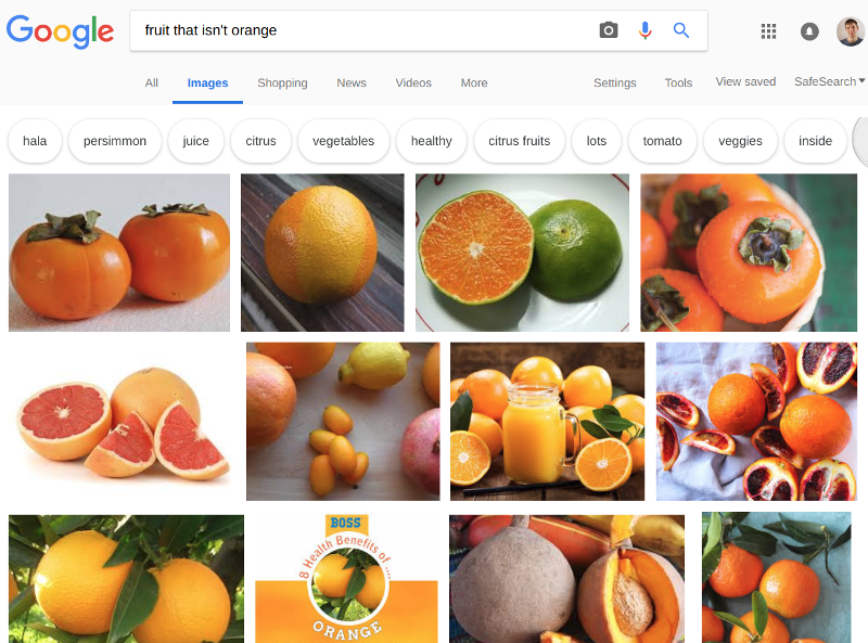 Google image search displaying pictures of oranges